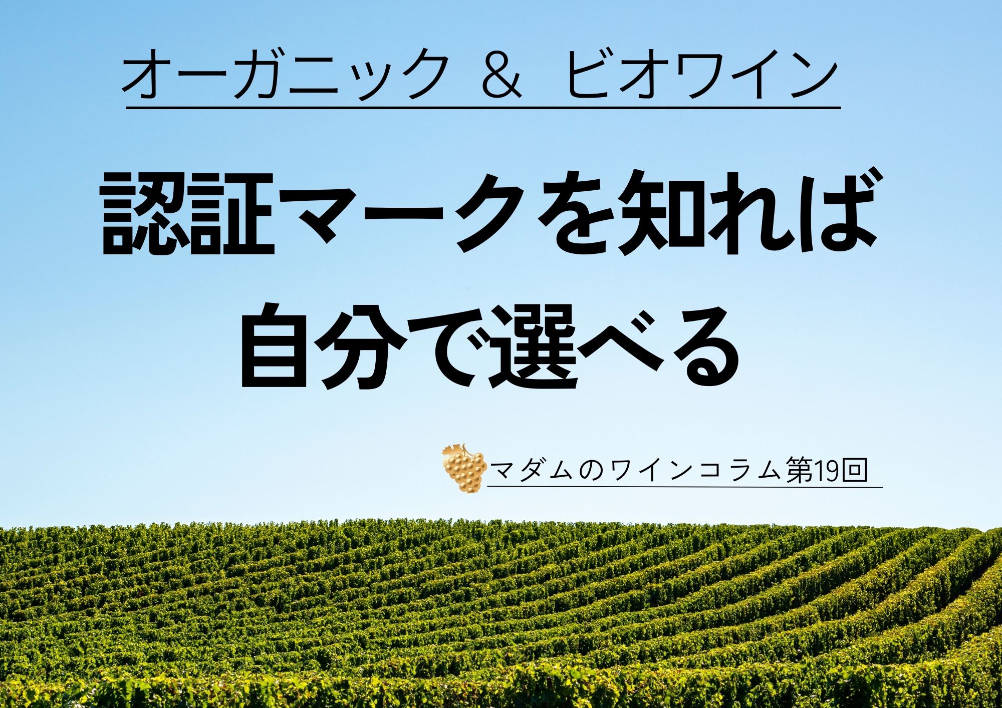 サムネ