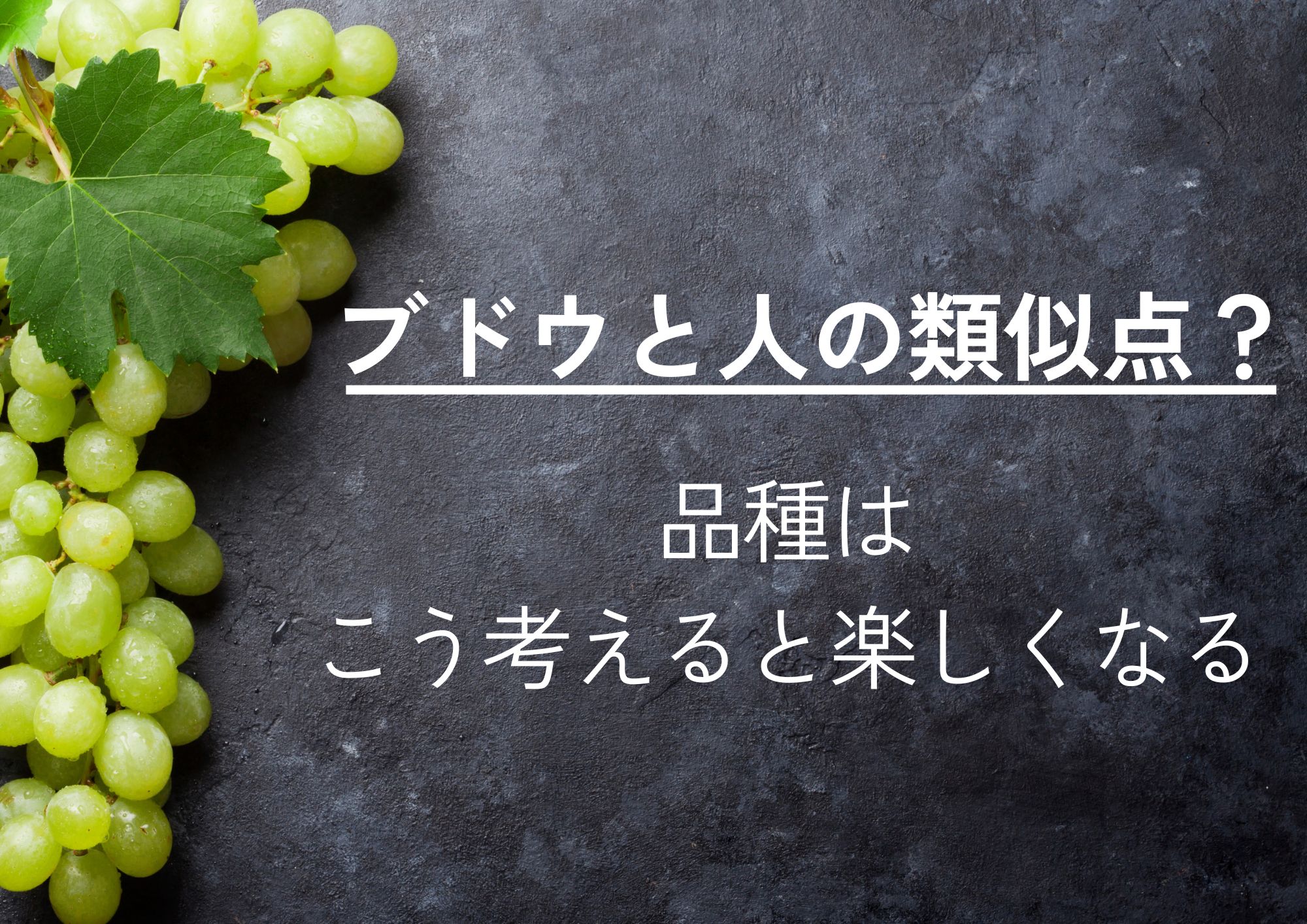 サムネ